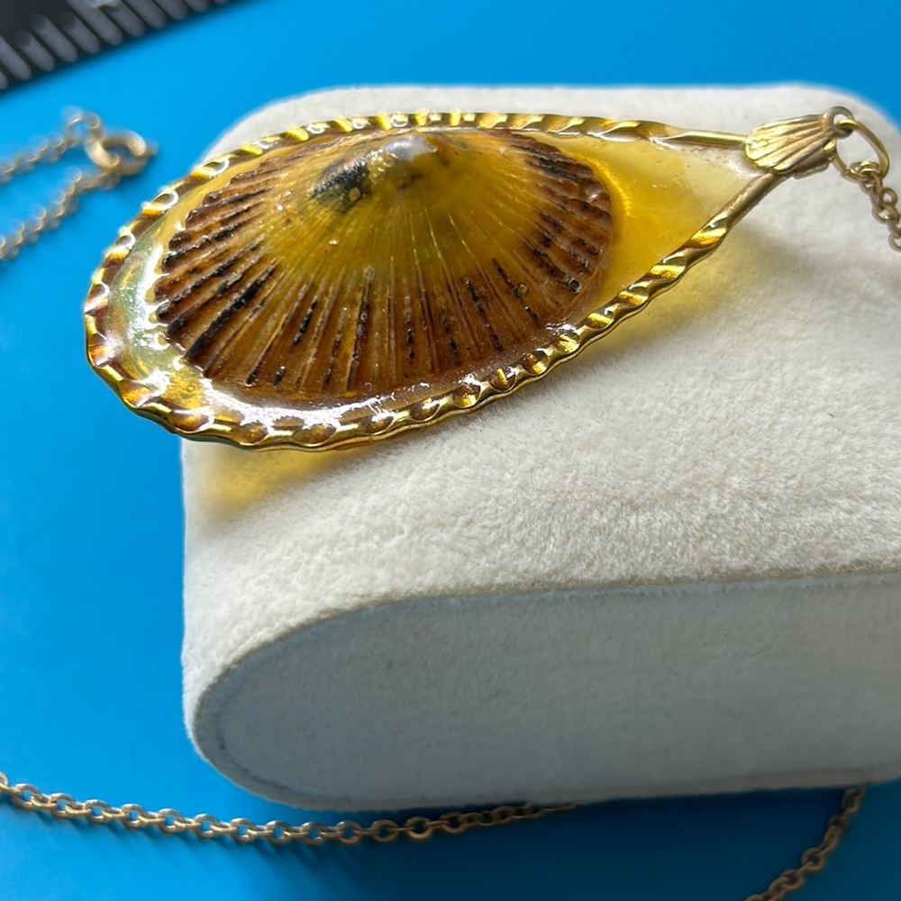 🖤Vtg Hawaiian Opihi shell pendant necklace - Picture 4 of 13